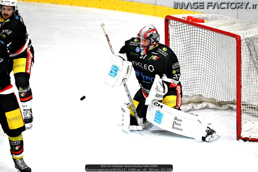 2024-10-19 Mastini Varese-Hockey Feltre 02944